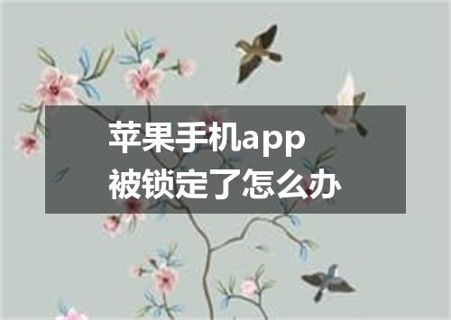 苹果手机app被锁定了怎么办