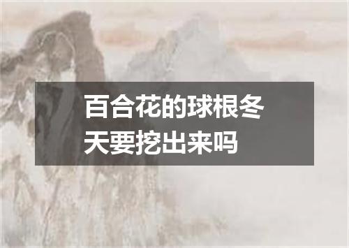 百合花的球根冬天要挖出来吗