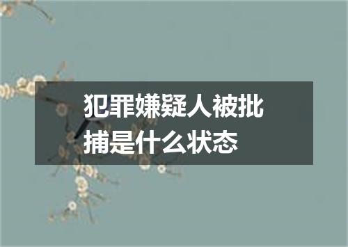 犯罪嫌疑人被批捕是什么状态