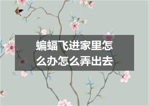 蝙蝠飞进家里怎么办怎么弄出去