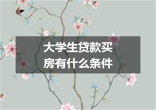 大学生贷款买房有什么条件