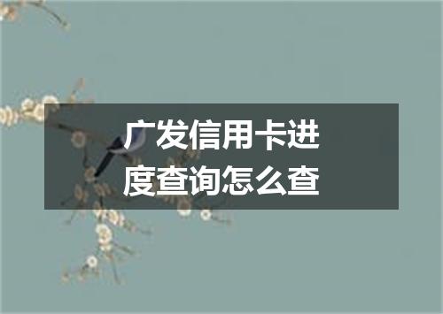 广发信用卡进度查询怎么查