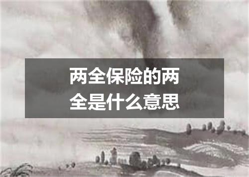 两全保险的两全是什么意思