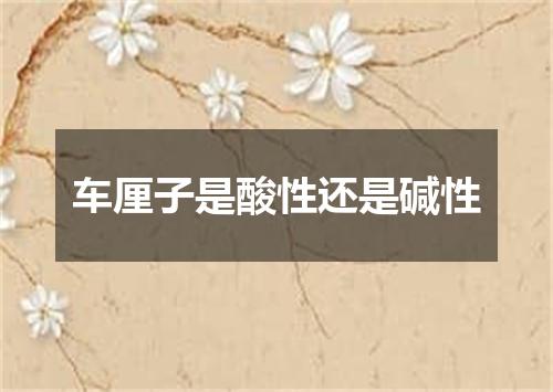 车厘子是酸性还是碱性