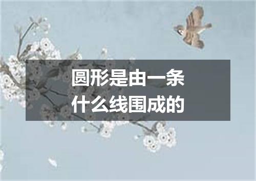 圆形是由一条什么线围成的