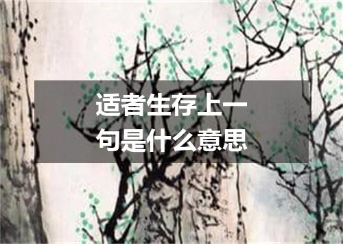 适者生存上一句是什么意思