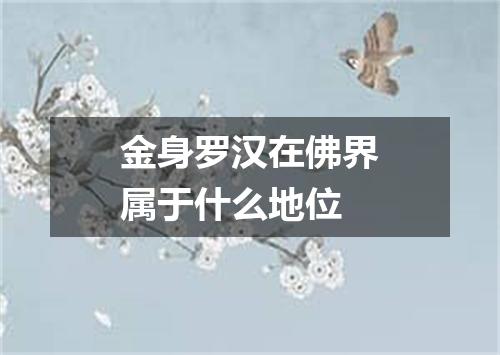 金身罗汉在佛界属于什么地位