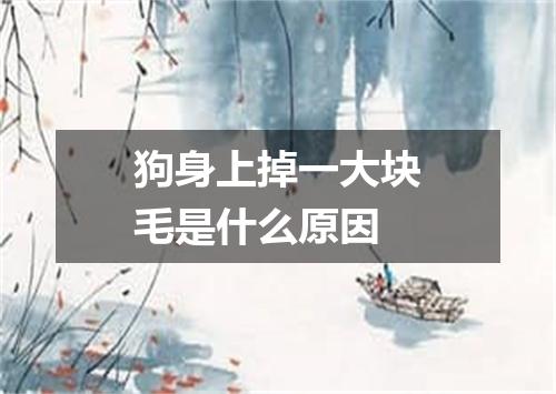 狗身上掉一大块毛是什么原因