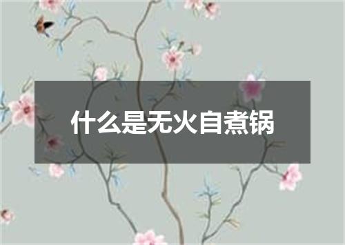 什么是无火自煮锅