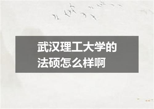 武汉理工大学的法硕怎么样啊