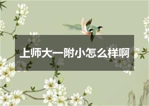 上师大一附小怎么样啊