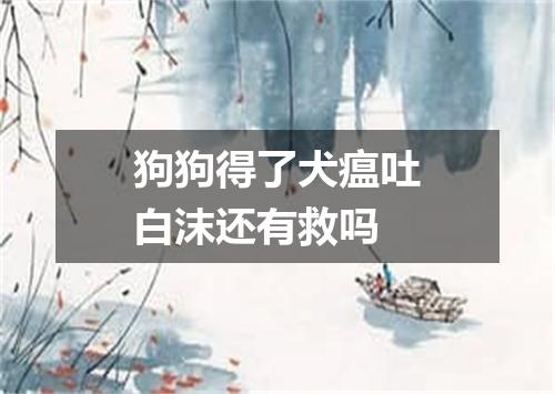 狗狗得了犬瘟吐白沫还有救吗
