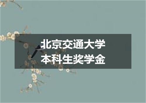 北京交通大学本科生奖学金