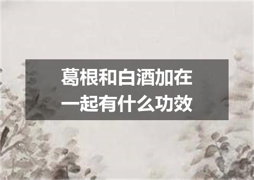 葛根和白酒加在一起有什么功效