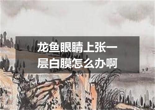 龙鱼眼睛上张一层白膜怎么办啊