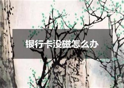 银行卡没磁怎么办
