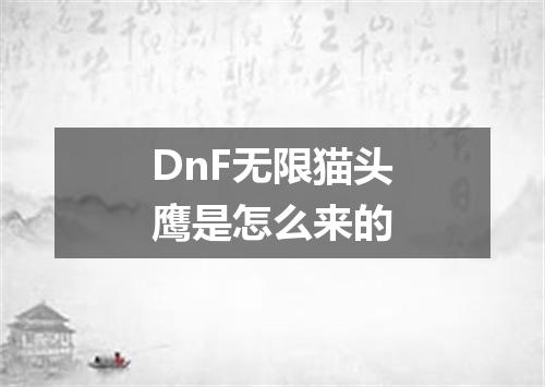 DnF无限猫头鹰是怎么来的