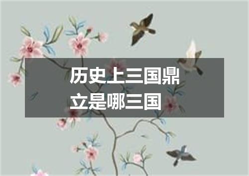 历史上三国鼎立是哪三国
