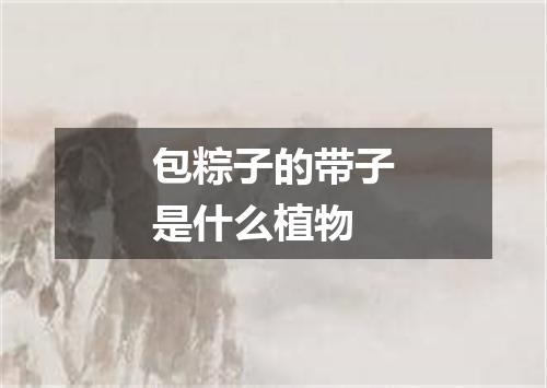 包粽子的带子是什么植物