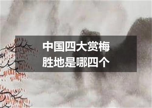 中国四大赏梅胜地是哪四个