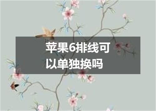 苹果6排线可以单独换吗