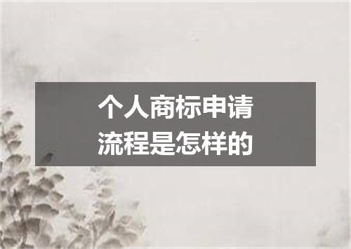 个人商标申请流程是怎样的
