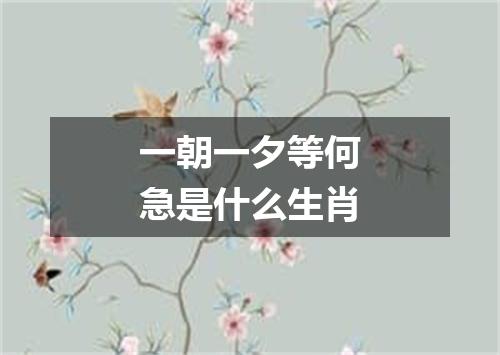 一朝一夕等何急是什么生肖