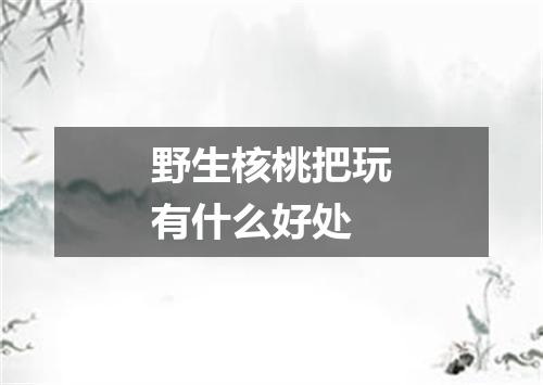 野生核桃把玩有什么好处