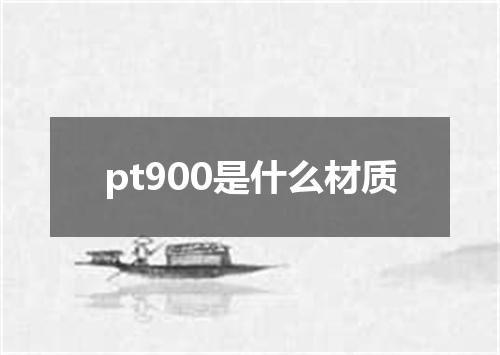 pt900是什么材质