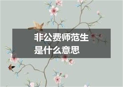 非公费师范生是什么意思