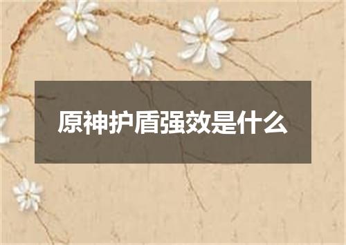 原神护盾强效是什么