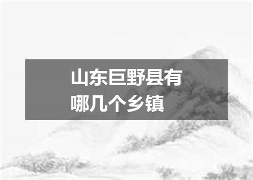 山东巨野县有哪几个乡镇