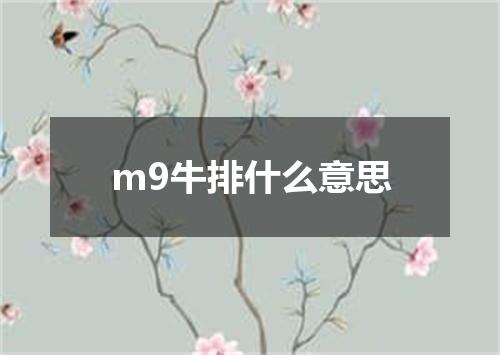 m9牛排什么意思