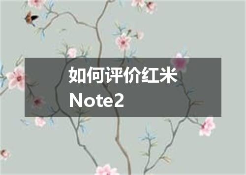 如何评价红米Note2