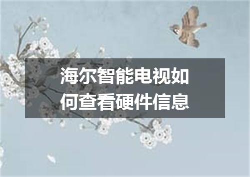 海尔智能电视如何查看硬件信息