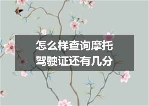 怎么样查询摩托驾驶证还有几分