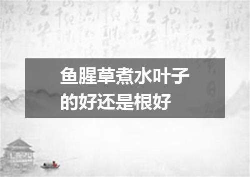 鱼腥草煮水叶子的好还是根好