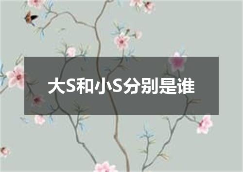 大S和小S分别是谁