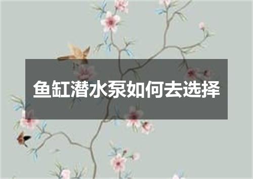 鱼缸潜水泵如何去选择