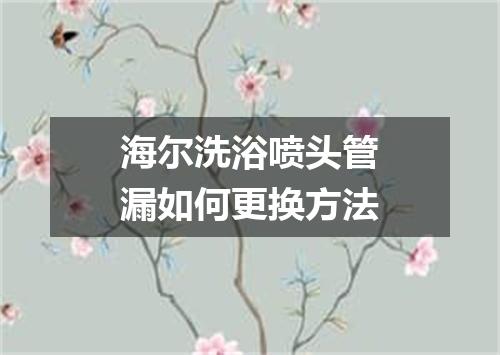 海尔洗浴喷头管漏如何更换方法