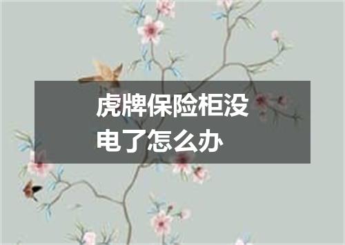 虎牌保险柜没电了怎么办