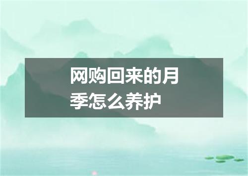 网购回来的月季怎么养护