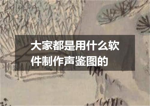 大家都是用什么软件制作声鉴图的