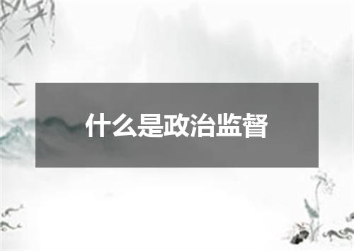 什么是政治监督