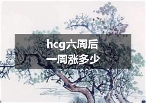 hcg六周后一周涨多少