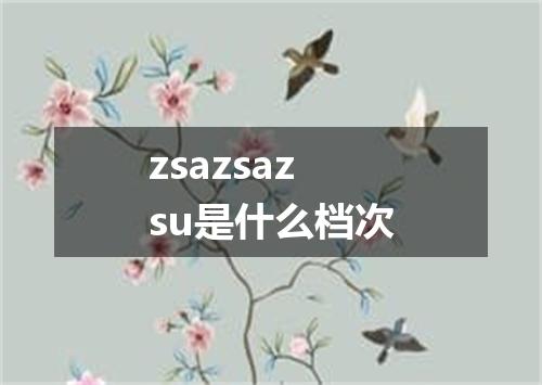 zsazsazsu是什么档次