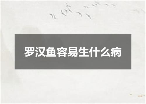 罗汉鱼容易生什么病