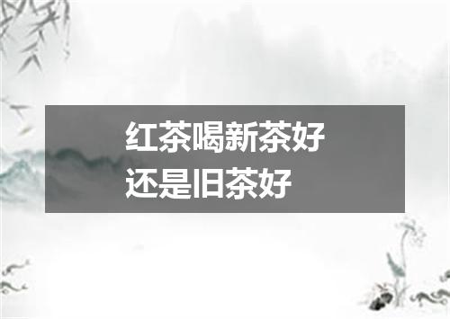 红茶喝新茶好还是旧茶好