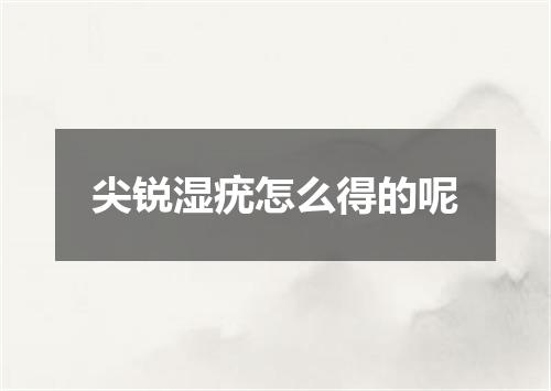 尖锐湿疣怎么得的呢