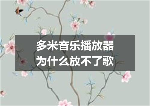 多米音乐播放器为什么放不了歌